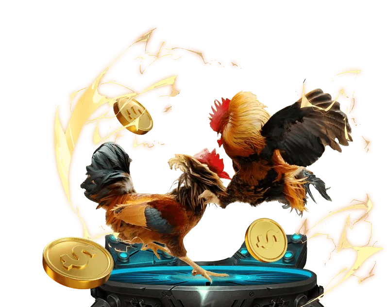 Dịch vụ trò chuyện trực tuyến 24/7 của vinbed